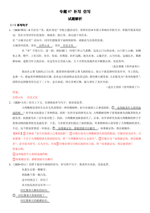 2021年中考语文复习专题：补写、仿写(解析版)