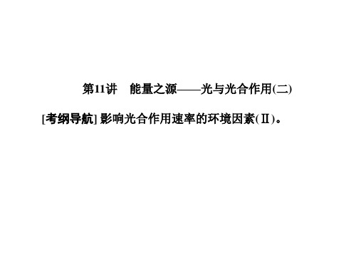 【最新】高三生物总复习课件：第三单元 细胞的能量供应和利用3-11
