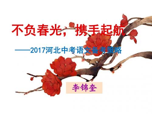 2017河北中考语文备考策略