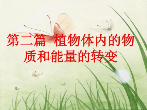 第四章 植物的呼吸作用
