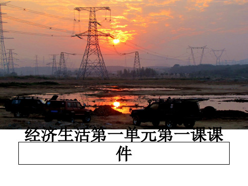 最新经济生活第一单元第一课课件课件ppt