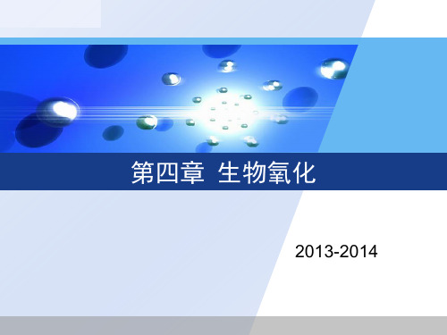 第四章 生物氧化