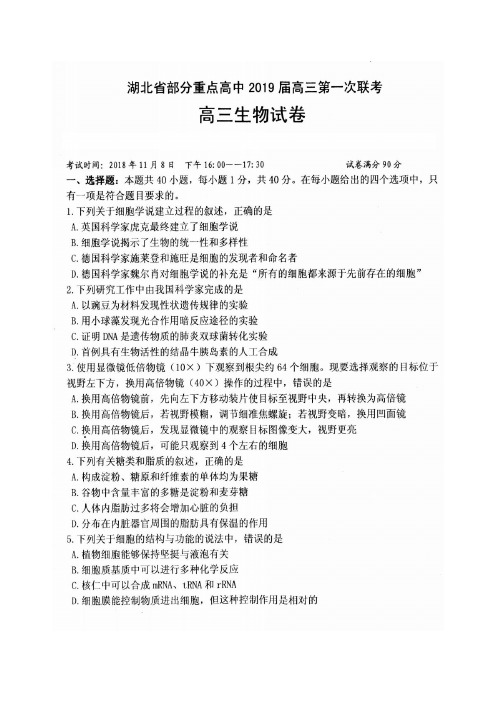 湖北省部分重点中学2019届高三第一次联考生物试题(含答案)