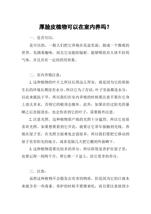 厚脸皮植物可以在室内养吗？