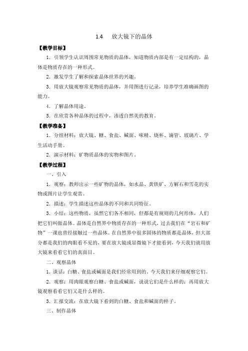 佛山市同济小学科学六年级下册1.4放大镜下的晶体(新教科版)教案