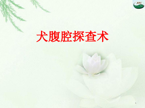 腹腔探查术PPT课件