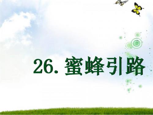 26《蜜蜂引路》ppt曦的公开课课件