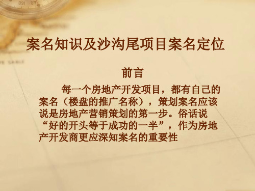 案名知识及项目案名定位