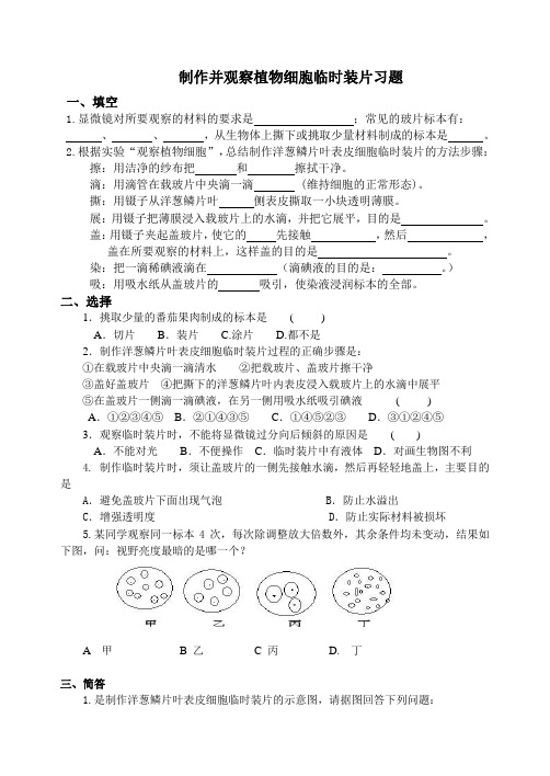 生物人教版七年级上册制作并观察植物细胞临时装片习题