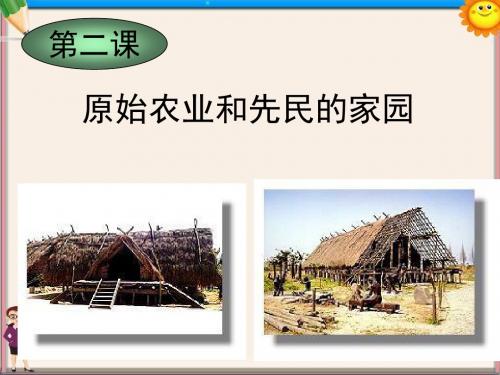 八年级历史上册 第一单元第二课 原始农业和先民的家园课件 新人教版