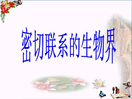 (精选)六年级科学上册密切联系的生物界ppt课件12青岛版