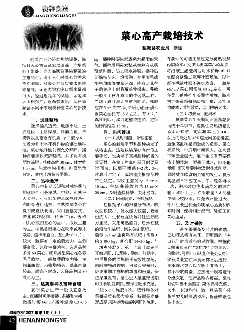 菜心高产栽培技术