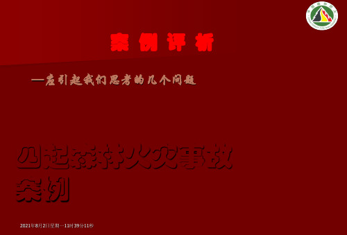 四起森林火灾事故案例