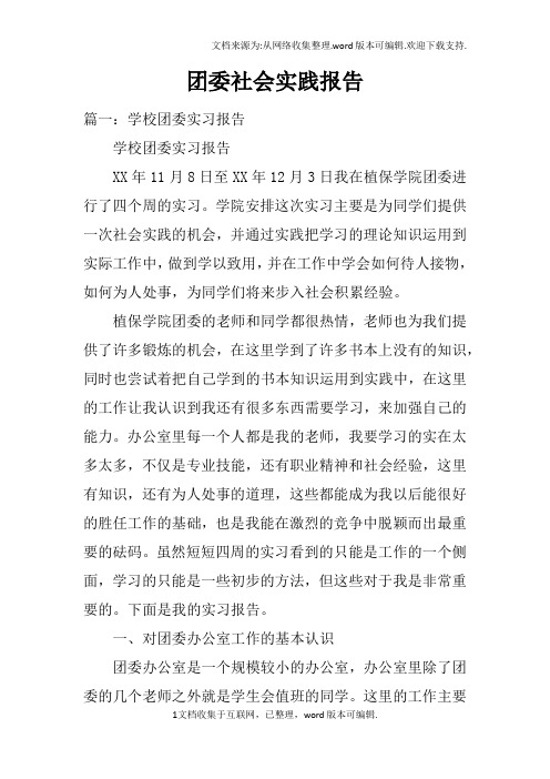 团委社会实践报告