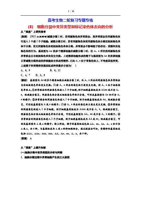 高考生物二轮复习专题专练(8) 细胞分裂中变异类型和标记染色体去向的分析