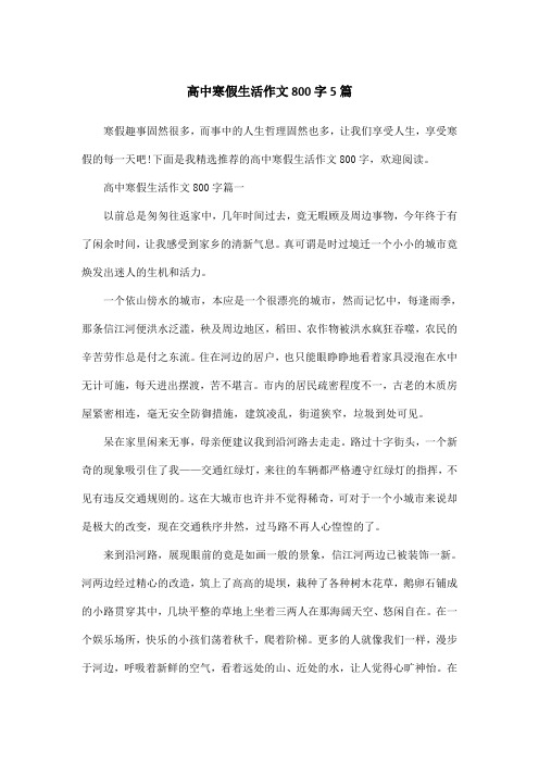 高中寒假生活作文800字5篇