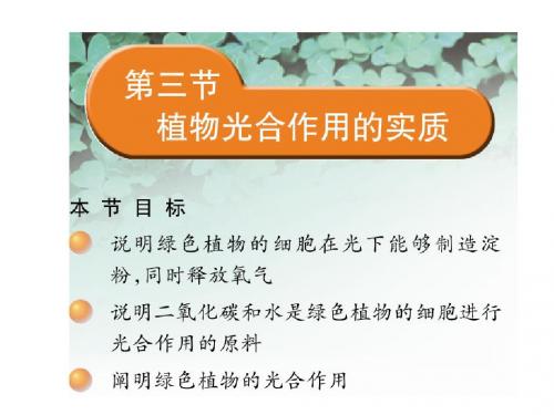高中生物植物光合作用的实质PPT精选课件 苏教版