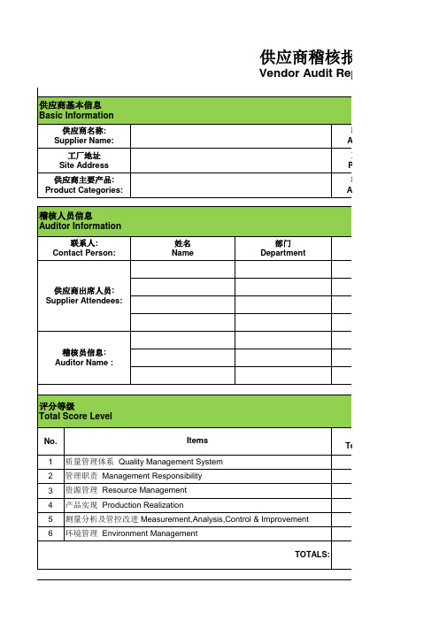 供应商稽核报告