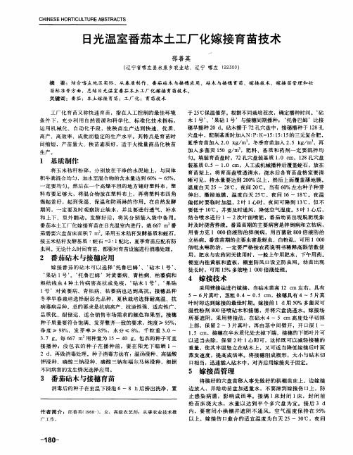 日光温室番茄本土工厂化嫁接育苗技术