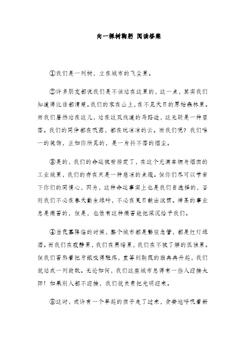 向一棵树鞠躬 阅读答案