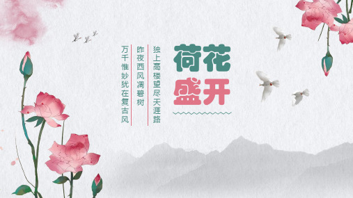 中国风荷花盛开商务汇报总结通用PPT模板
