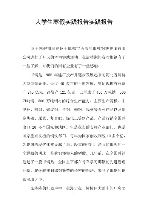 大学生寒假实践报告实践报告