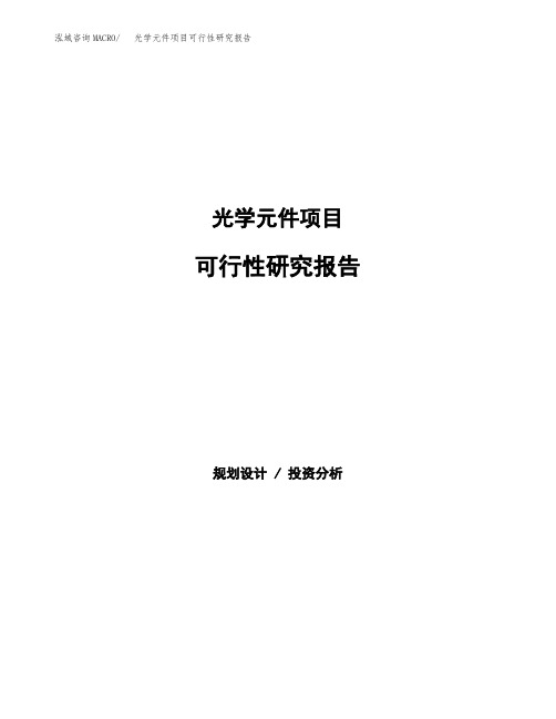 光学元件项目可行性研究报告(可编辑)