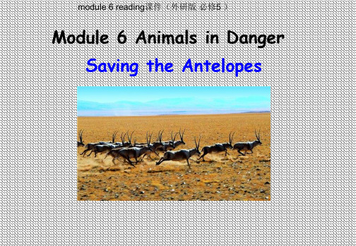 module6AnimalsinDanger-reading课件(外研版必修5)
