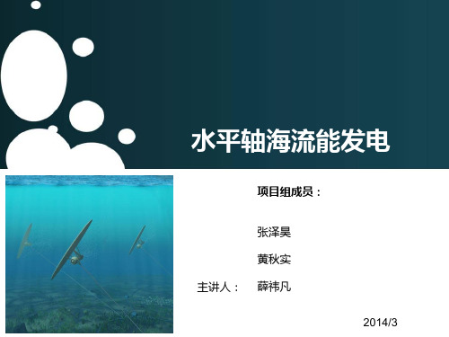 水平轴海流能