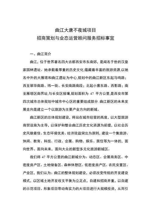 【管理】曲江大唐不夜城项目策划任务书.doc