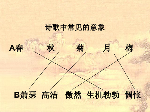 【精品】《说木叶》优秀课件.ppt
