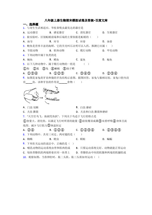 八年级上册生物期末模拟试卷及答案-百度文库