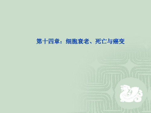 细胞衰老、死亡与癌变 ppt课件
