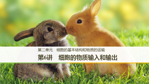 2021年高考生物一轮复习第6讲 细胞的物质输入和输出