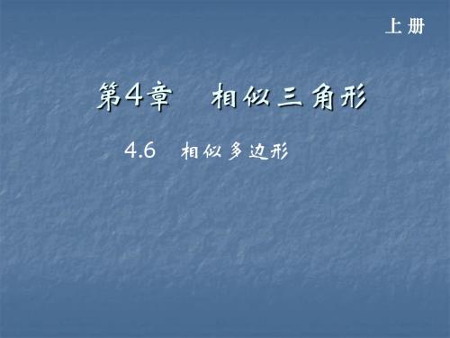 4.6 相似多边形