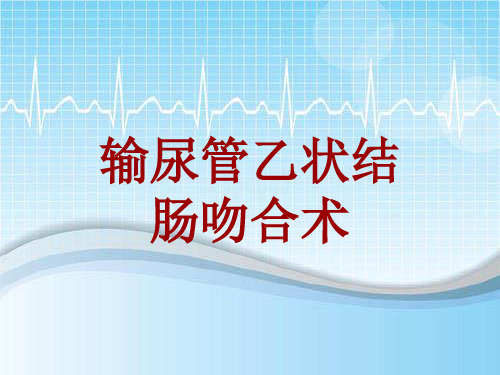 外科手术教学资料：输尿管乙状结肠吻合术讲解模板
