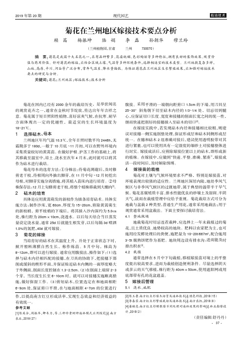 菊花在兰州地区嫁接技术要点分析