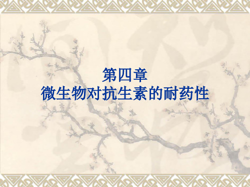 第4章微生物对抗生素的耐药性