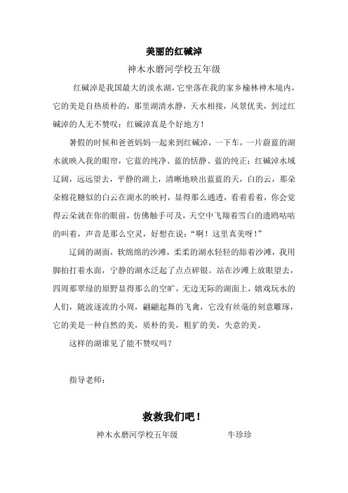 美丽的红碱淖