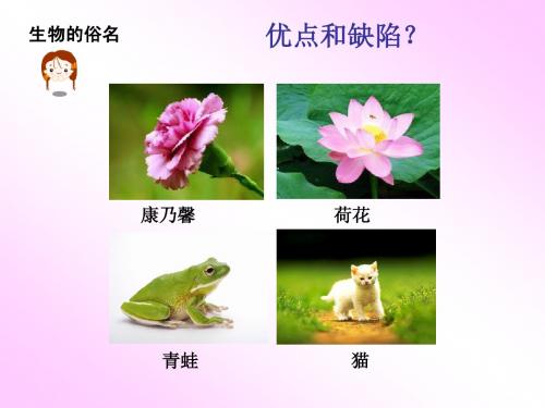 生物的命名