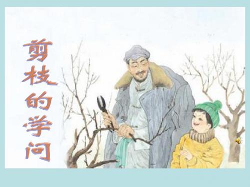苏教版小学三年级下册语文 《剪枝的学问》教学课件