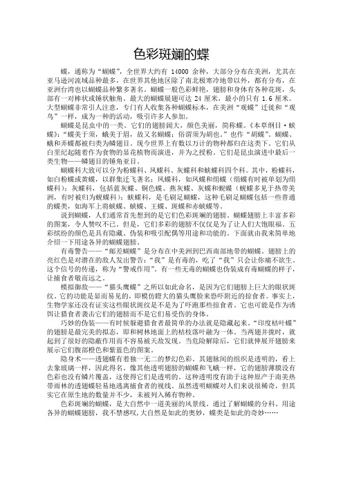 色彩斑斓的蝶