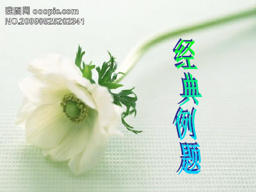 第十三周      和倍问题