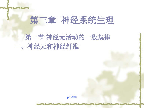 动物生理学ppt课件第10章神经系统生理