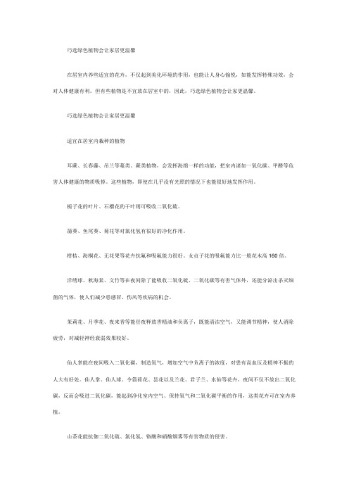 巧选绿色植物 让家更温馨