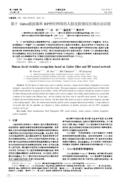 基于Gabor滤波器和BP神经网络的人脸皮肤皱纹区域自动识别