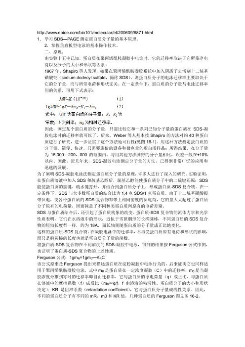 SDS-聚丙烯酰胺凝胶电泳法测定蛋白质的分子量(垂直板型电泳)