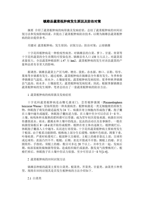 镇雄县蔬菜根肿病发生原因及防治对策