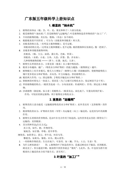 广东版五年级科学上册知识点