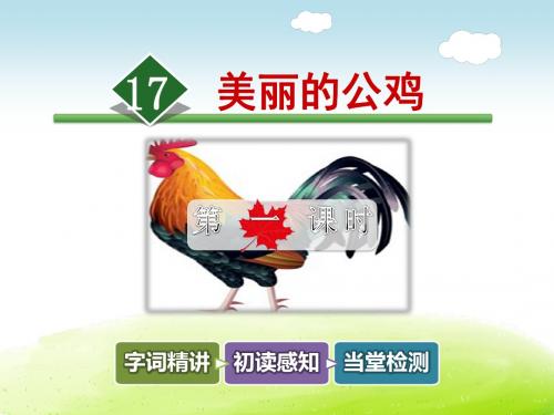 美丽的公鸡PPT课件